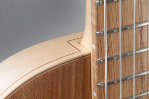 Electric guitar: Hollow body Casanova model