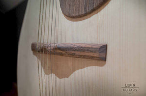 Ermida Steel String amplified
