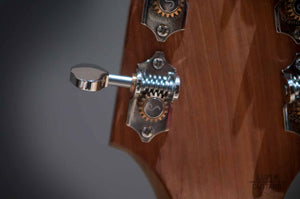 Ermida Steel String amplified