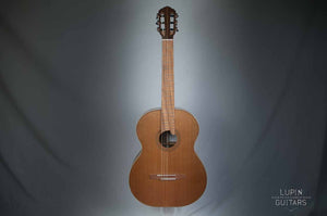 Torrified spruce classical front view