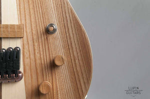 Electric guitar: Hollow body Casanova model