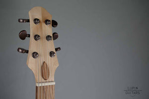 Electric guitar: Hollow body Casanova model