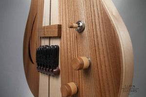 Electric guitar: Hollow body Casanova model
