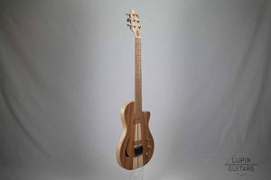Electric guitar: Hollow body Casanova model