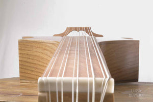 Falun lute, the old new concept