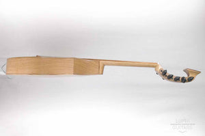 Falun lute, the old new concept