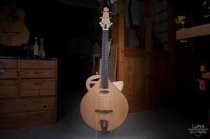 Steel string front view