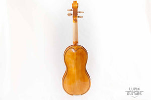 Medieval fiddle
